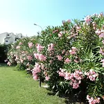 Hotel Bahia Numana