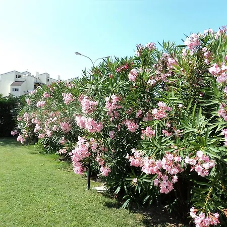 Szálloda Bahia Numana